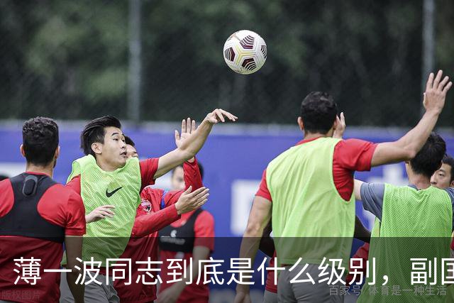薄一波同志到底是什么级别，副国级？还是正国级？